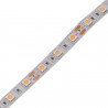 LED Strip 12V, 5m - fresh meat