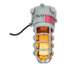 Industrial LED globe guard ATEX flash 15W