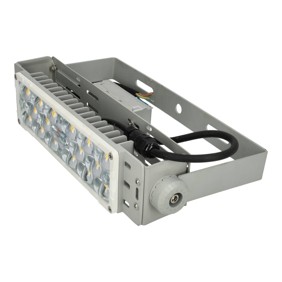 Proiettore modulare da 50W Mean Well