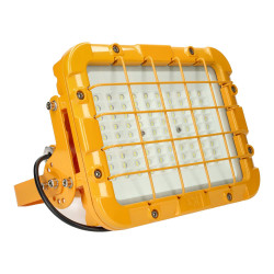 ATEX LED Flood light 50W