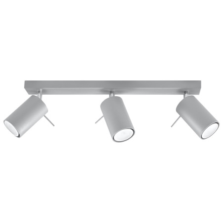 Deckenleuchte RING 2 grau