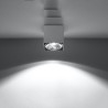 Ceiling lamp TIUBE grey