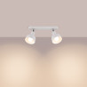 Ceiling lamp VERDO 4 black