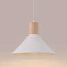 Ceiling lamp GIZUR