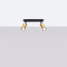 Ceiling lamp WINX 2 black/chrome