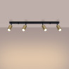 Ceiling lamp WINX 4L black/chrome