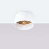 Ceiling lamp WINX 3P black/cooper