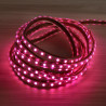 Tira Led 220V alto brilho RGB