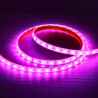 Tira Led RGB 12V 14.4W/m IP68 sumergible