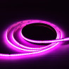 Tira Led COB 24V RGB 5m 576 LED/m IP20