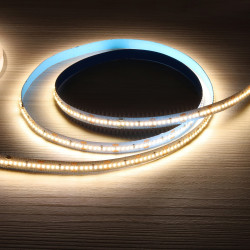 Tira LED 24V SMD 22W/m 11200lm 10mm Ancho IP20 Neutra