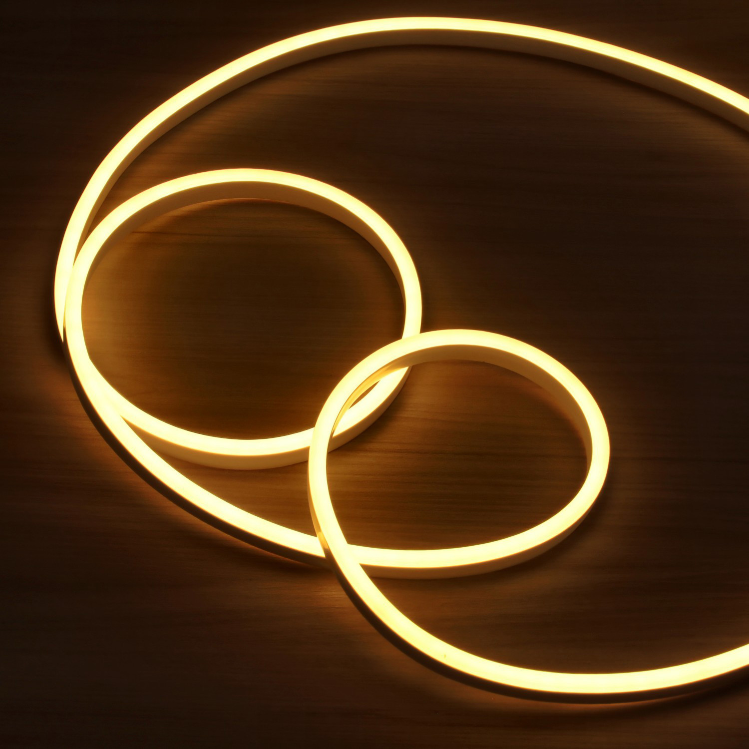 Flex al neon 220V 7W/m