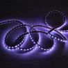 Striscia LED IP65 RGB 220V da 14,4W/m
