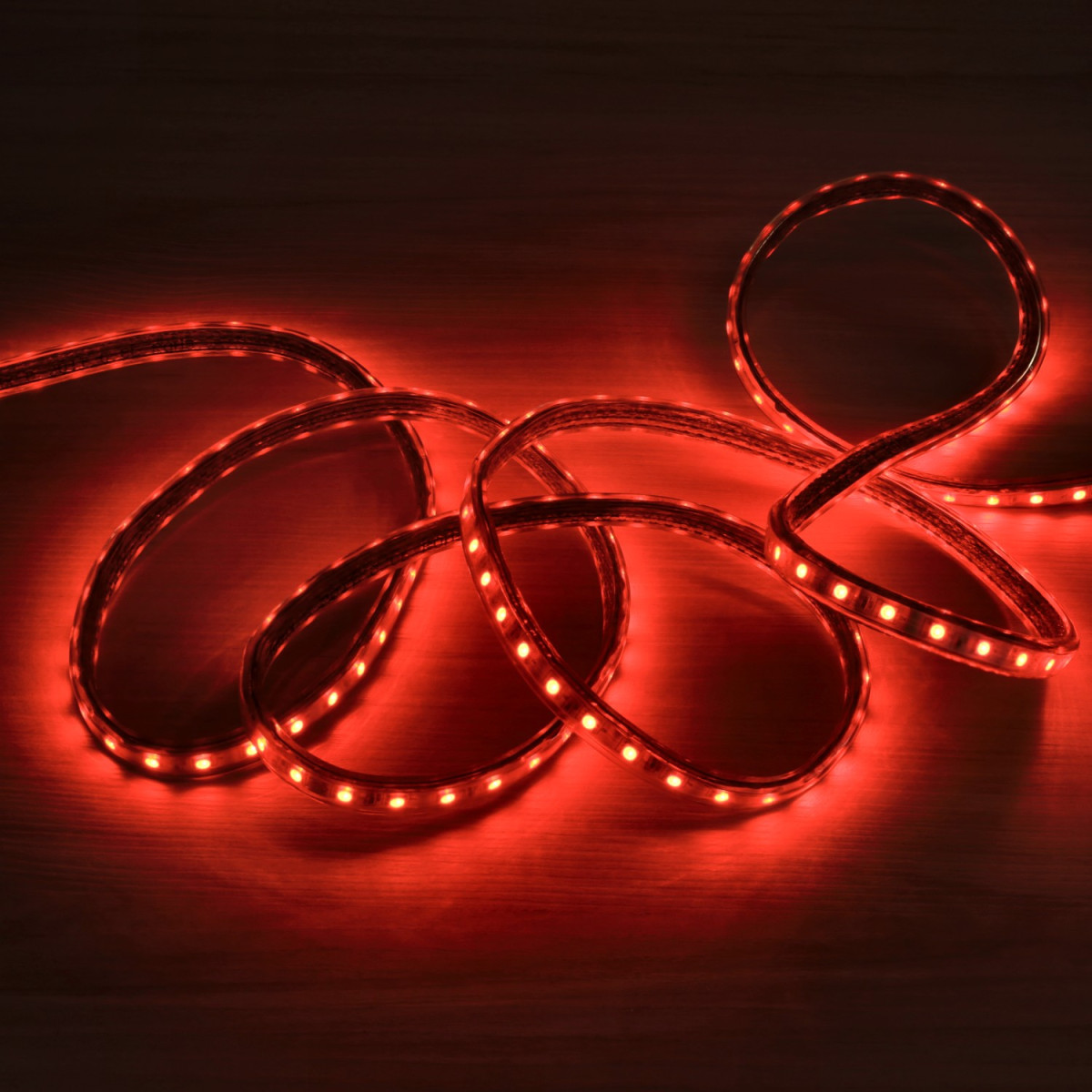 Tira Led 220V monocolor en rojo, verde o azul