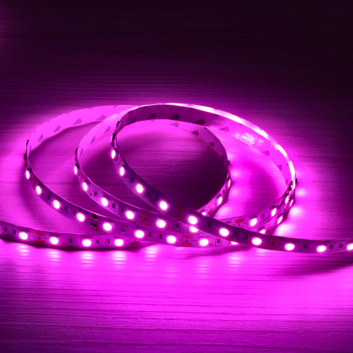 Tira Led 12V 5m especial carnicerías