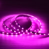 Tira Led 12V 5m especial carnicerías