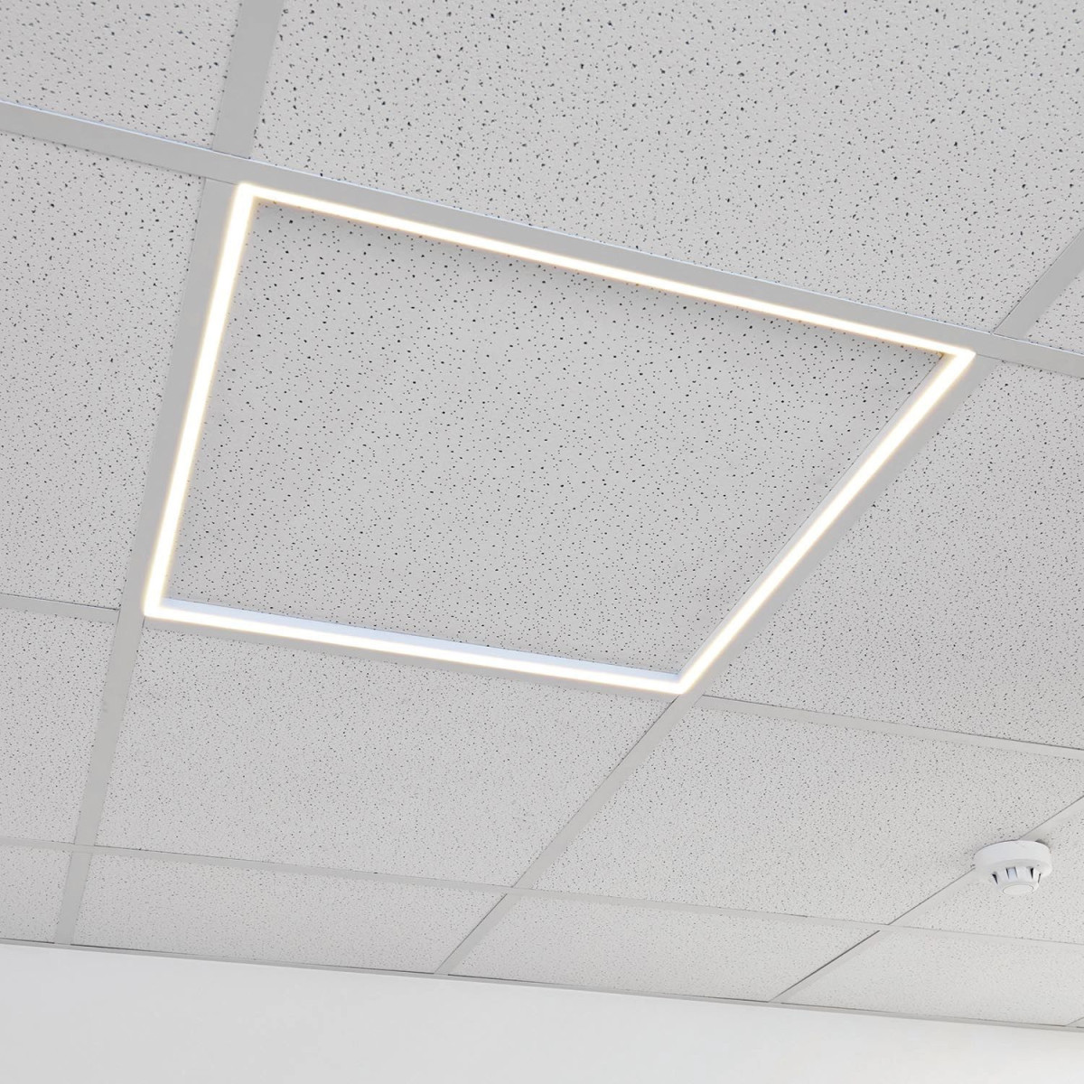Marco Rosa Led Marco luminoso LED 60x60 48W desmontable