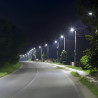 ​Rua Led farola 100W base Ø50mm