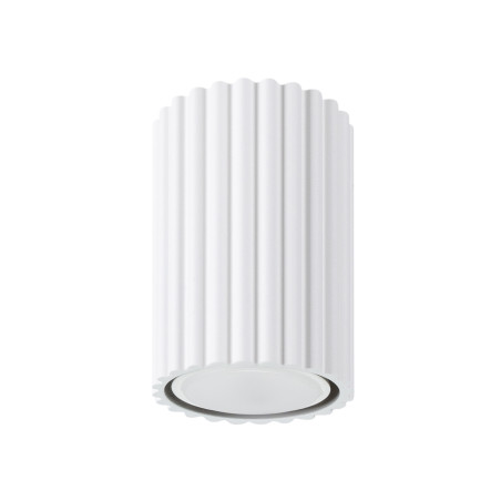 Ceiling lamp KARBON 10 white