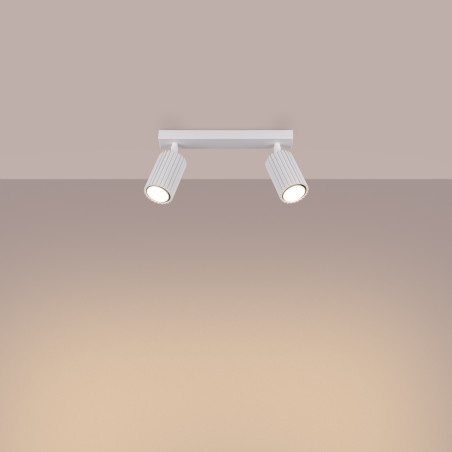 Ceiling lamp KARBON 2 white