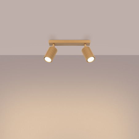 Ceiling lamp KARBON 2 gold
