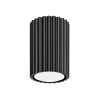 Ceiling lamp KARBON 10 black