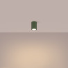 Ceiling lamp KARBON 10 olive green