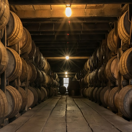 Industrial lamp fixture ATEX E27 IP66