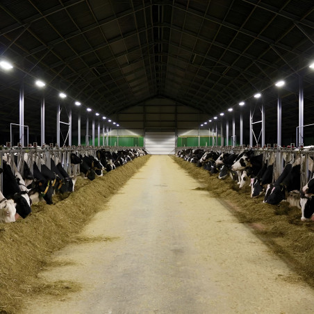 LED-Strahler ATEX 20W IP65