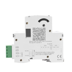 WiFi Fehlerstrom-Schutzschalter (FI) Wiedereinschaltend 2P