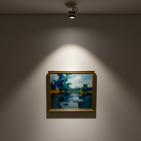 Foco carril 20W orientable