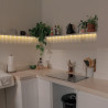 LED Strip - IP20, 4.8W/m, 5m