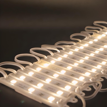 Module 3 LED 12V IP65 SMD5050