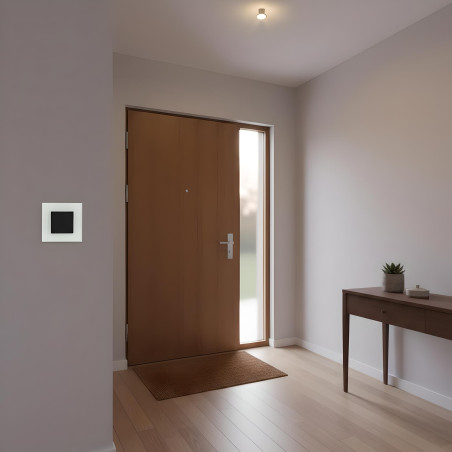 Doppio interruttore singolo 10A