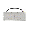 Módulo LED 36W Bridgelux para farola