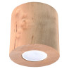 Minimalist GU10 Ceiling Lamp - ORBIS Series