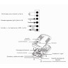 Régulateur LED pour lampe de sol 300W
