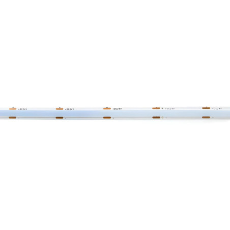 Tira LED 24V SCOB 12W/m