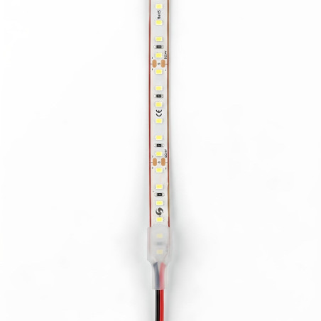Tira LED 24V SMD 4W/m 8000lm 10mm Ancho IP67