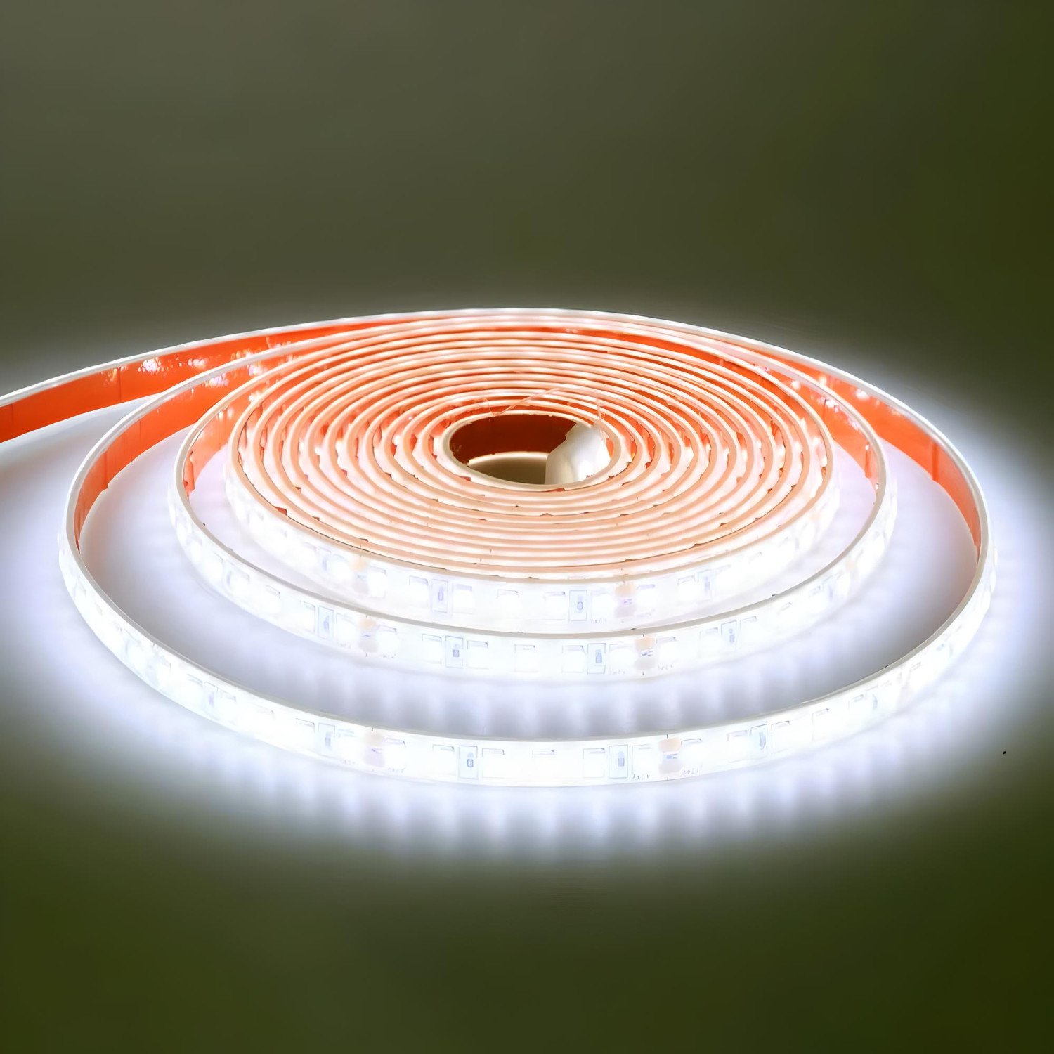 Tira LED 24V SMD 80W/m 8000lm 10mm Ancho IP67 fria