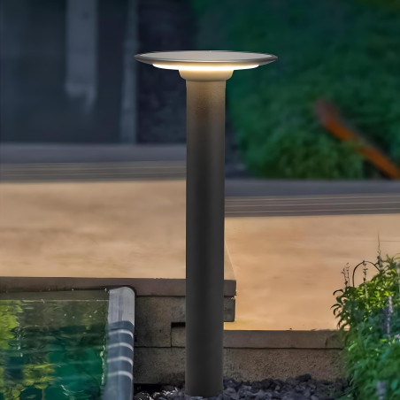 60cm 3W 2CCT IP65 Solar LED...