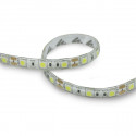 Tira Led 5m 14.4W/m IP65 luz blanca