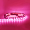 LED Strip 12V, 5m - fresh meat