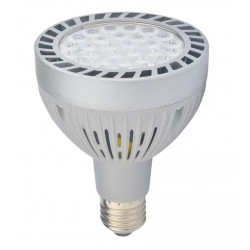 PAR30 LED bulb 40W E27