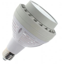PAR30 LED bulb 25W E27