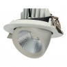 LED Ceiling Spotlight Orientable - 20W, Round