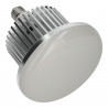 Lampada a LED industriale da 50W