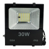 30W Solar-LED-Projektor