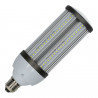 Lampada a Led Public Lighting Serie Professionale 27W