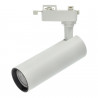 Rail LED Tracklight- White, Directional, 30W special for butchers
